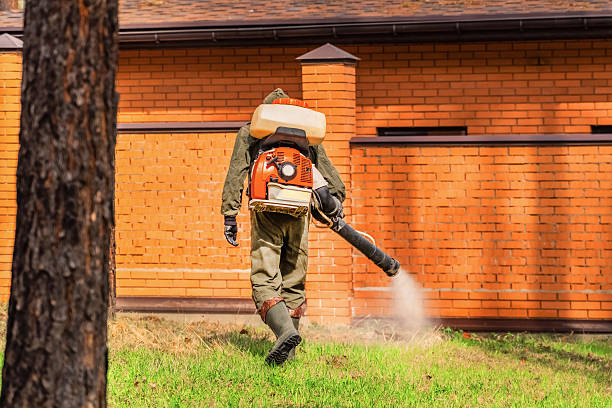 Trusted Bed Bug Control service in Maynardville, TN - Nex Pest Control